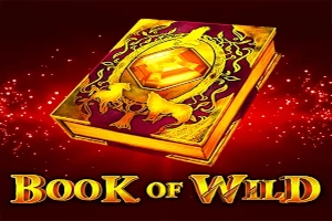 Арт слота Book of Wild